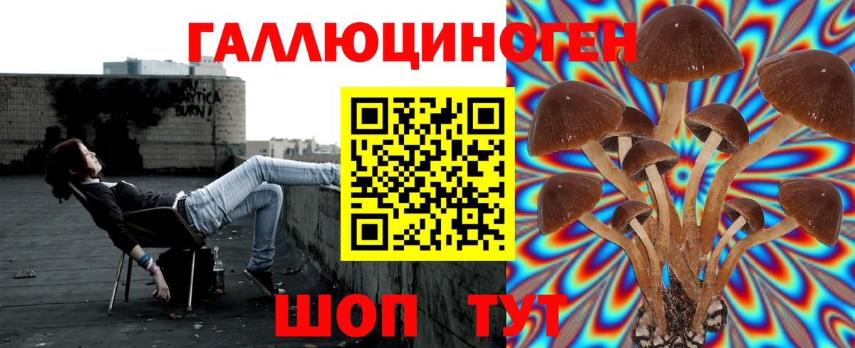 Галлюциногенные грибы прущие грибы Уварово