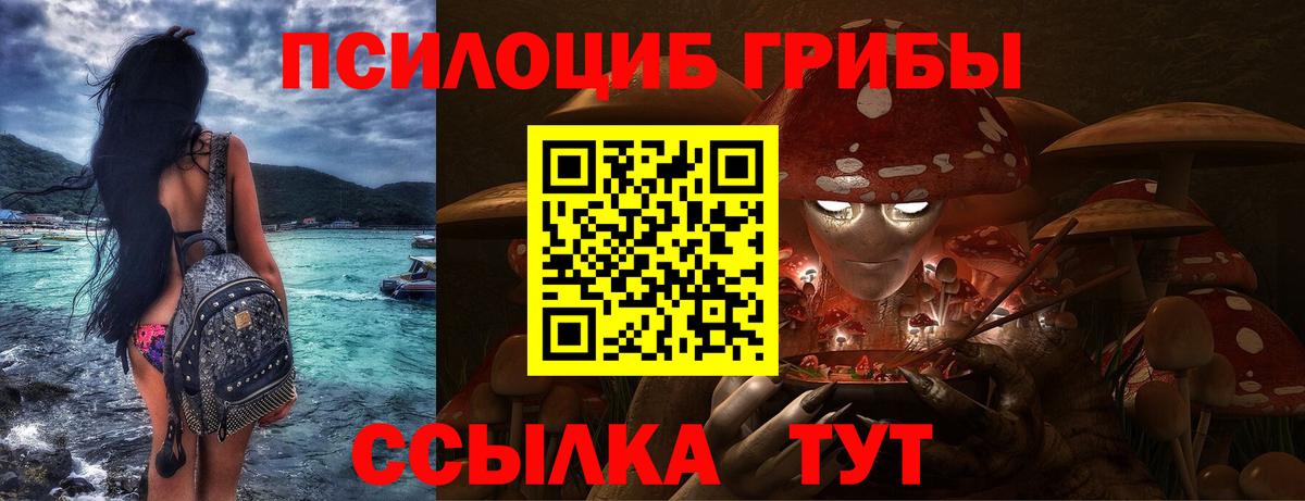 Уварово  Псилоцибиновые грибы Cubensis  купить   Вход с VPN  Галлюциногенные грибы мицелий 